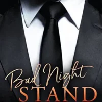 Bad Night Stand by Elise Farber