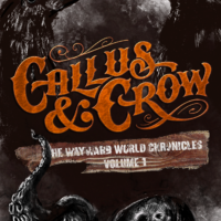 Interview: D. B. Rook, Author of Callus & Crow